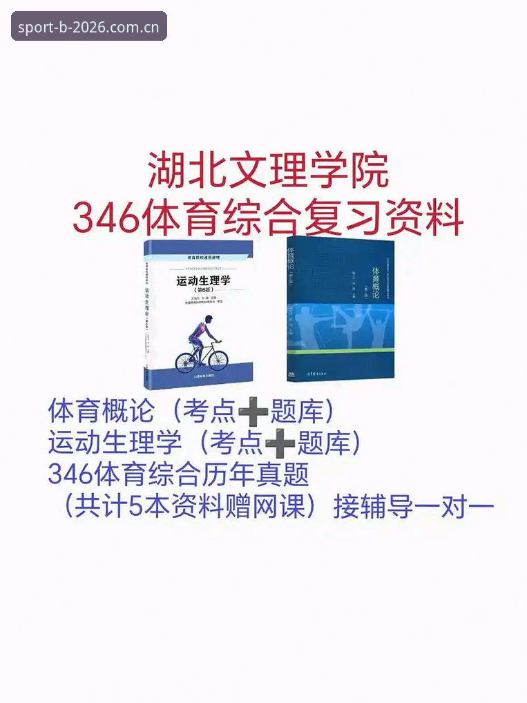 B体育手机版到底怎么用？新手必看的2026最新网址与操作指南